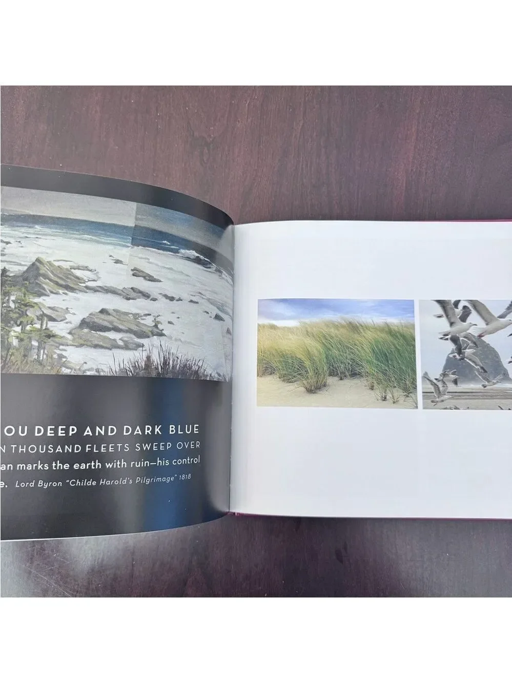 Cannon Beach Book